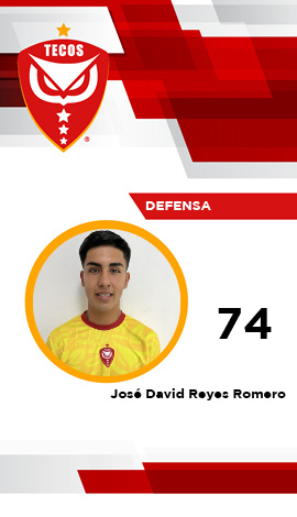 Defensa